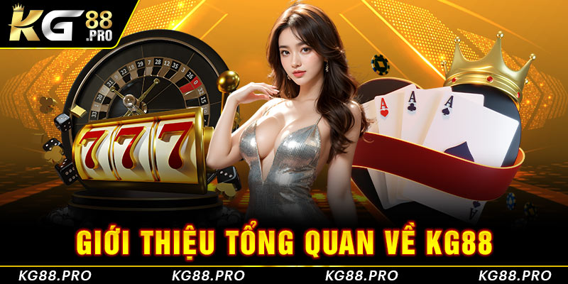 Giới thiệu tổng quan về KG88